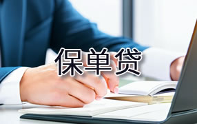 果洛保单贷