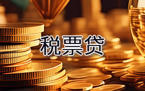 果洛税票贷